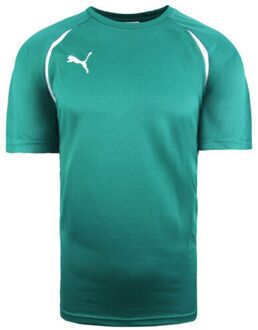 PUMA Vencida Korte Mouw Crew Neck Groen Heren Voetbal Top 700754 05