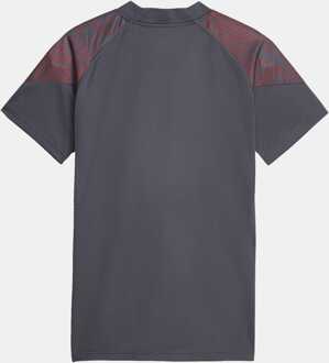 PUMA Women's Puma Manchester City Fc Training Jersey in Grey Grijs - XL