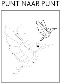 Punt Naar Punt - Andries B.V.