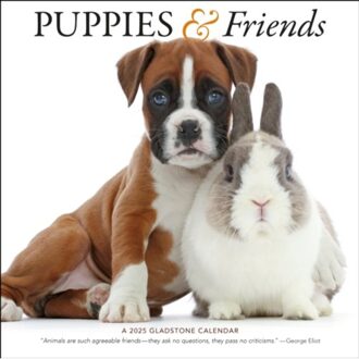 Puppies & Friends Square Wall Calendar 2025 - Media, Gladstone
