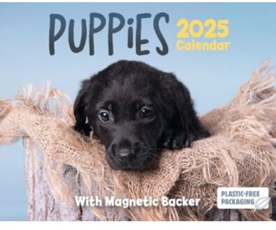 Puppies Mini Box Calendar 2025 - Calendars, Carousel