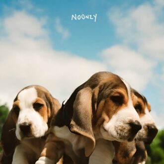 Puppies - Noonzy