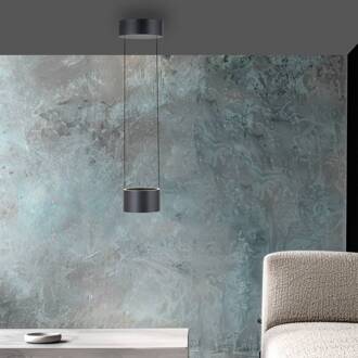 Pure LED hanglamp Clipse, grijs, Ø 20 cm CCT dimbaar 2-lamps grijs, transparant