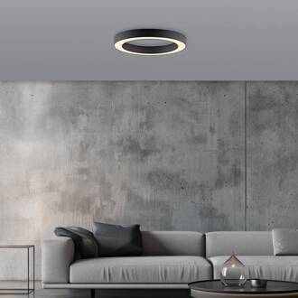 Pure LED plafondlamp Lines, Ø 35 cm, grafiet, CCT, afstandsbediening