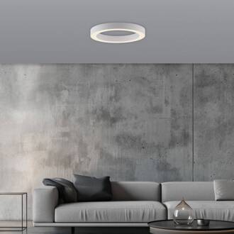 Pure LED plafondlamp Lines, Ø 35 cm, wit, CCT