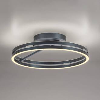 Pure LED plafondlamp Loop, grijs, metaal, Ø 60 cm, CCT
