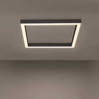 Pure Paul Neuhaus Pure-Lines LED-plafondlamp antraciet antraciet, wit