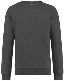 PureWhite Trui sweat fw antra i grijs - maat S Veelkleurig