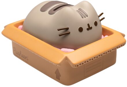 Pusheen Piggy Bank