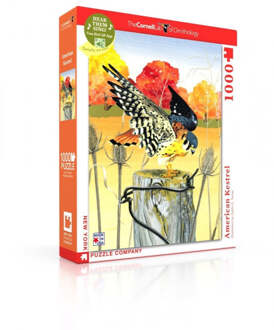 Puzzel Cornell Lab American Kestrel - 1000 stukjes multicolor