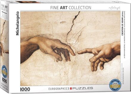 puzzel Creation of Adam - Detail stukjes - Michelangelo - 1000 stukjes