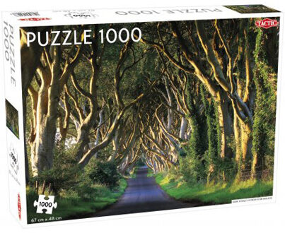 Puzzel Dark Hedges in Northern Ireland 1000 Stukjes