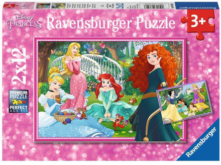 puzzel Disney wereld van de prinsessen - 2 x 12 stukjes Multikleur