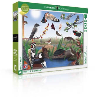 Puzzel Spring Trail - 1000 stukjes multicolor