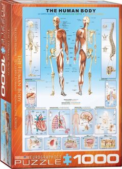 puzzel The Human Body - 1000 stukjes