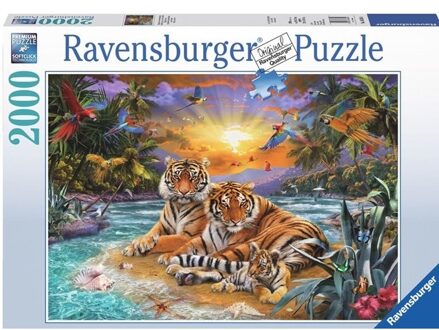 puzzel Tijgerfamilie bij zonsondergang - 2000 stukjes