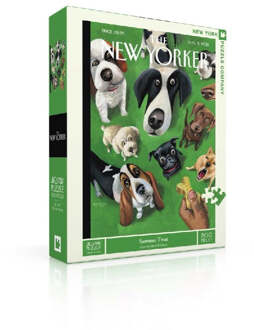 Puzzel Zomertraktatie - 500 stuks multicolor