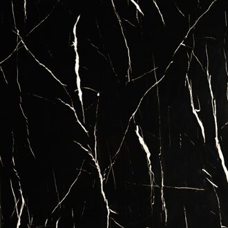 PVC Wandpaneel - Afimera - Black Marmour Zwart Hoogglans 280x120x0.3cm