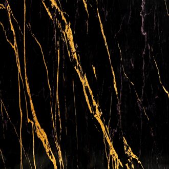 PVC Wandpaneel - Afimera - Ceasar Black Zwart Goud Hoogglans 280x120x0.3cm