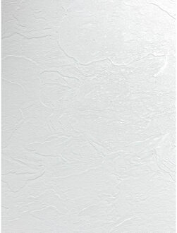 PVC Wandpaneel - Afimera - Effen Wit Mat 280x120x0.3cm
