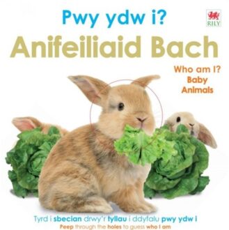 Pwy Ydw I? Anifeiliaid Bach / Who Am I? Baby Animals - DK
