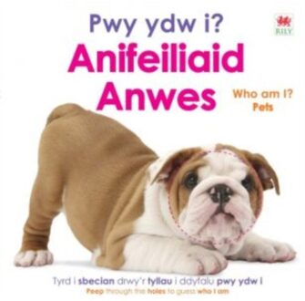 Pwy Ydy I? Anifeiliaid Anwes / Who Am I? Pets - DK