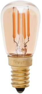 Pygmy Lichtbron - Transparant