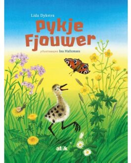 Pykje fjouwer - Boek Lida Dijkstra (9492176459)