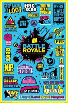 Pyramid Battle Royale Infographic Poster 61x91,5cm