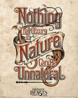 Pyramid Fantastic Beasts Unnatural Poster 40x50cm