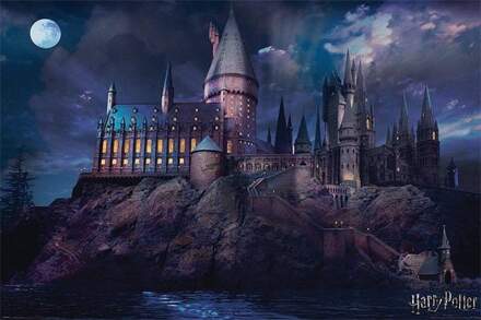 Pyramid Harry Potter Hogwarts Poster 91,5x61cm