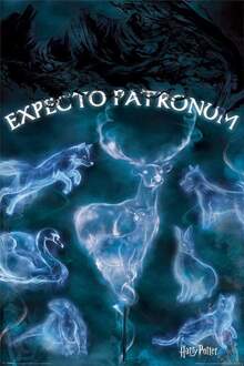 Pyramid International Poster Harry Potter Patronus 61x91,5cm Multikleur