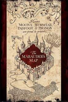 Pyramid International Poster Harry Potter The Marauders Map 61x91,5cm Multikleur