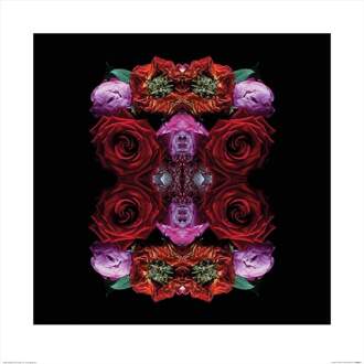 Pyramid Kunstdruk Alyson Fennell - Paradise of Petals 60x60cm Divers - 60x60 cm