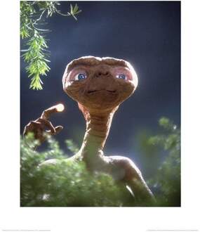 Pyramid Kunstdruk E.T. - Glowing 40x50cm Divers - 40x50 cm