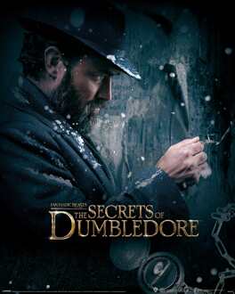 Pyramid Kunstdruk Fantastic Beasts The Secrets of Dumbledore Dumbledore Watch 40x50cm Divers - 61x91.5 cm