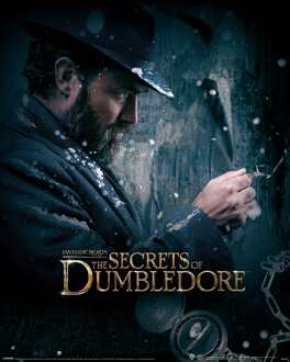 Pyramid Kunstdruk Fantastic Beasts - The Secrets of Dumbledore Dumbledore Watch 40x50cm Divers - 61x91.5 cm