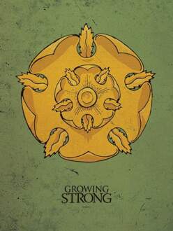 Pyramid Kunstdruk Game of Thrones - Tyrell 60x80cm Divers - 60x80 cm