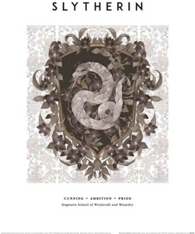 Pyramid Kunstdruk Harry Potter - Slytherin 30x40cm Divers - 30x40 cm