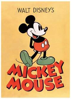 Pyramid Kunstdruk Mickey Mouse - Mickey 60x80cm Divers - 60x80 cm