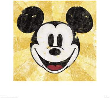 Pyramid Kunstdruk Mickey Mouse Squeaky Chic 40x40cm Divers - 40x40 cm