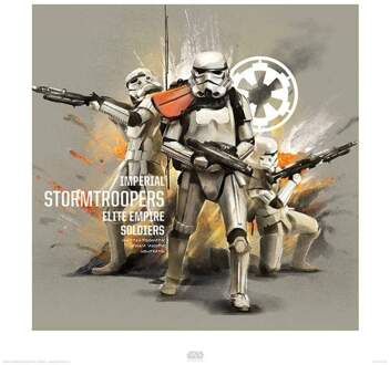 Pyramid Kunstdruk Star Wars - Rogue One Stormtroopers Profile 40x40cm Divers - 40x40 cm