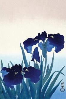 Pyramid Ohara Koson Iris Flowers Poster 61x91,5cm