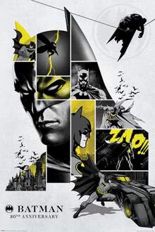 Pyramid Poster Batman 80th Anniversary 61x91,5cm Multikleur