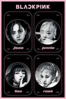 Pyramid Poster Black Pink How You Like That 61x91,5cm Divers - 61x91.5 cm