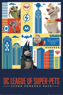 Pyramid Poster DC Super Pets Activate 61x91,5cm Divers - 61x91.5 cm