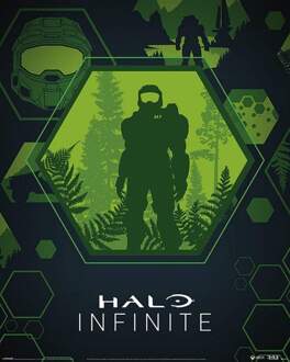 Pyramid Poster Halo Infinite - Master Chief Hex 40x50cm Divers - 40x50 cm