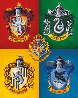 Pyramid Poster Harry Potter Colourful Crests 40x50cm Divers - 40x50 cm
