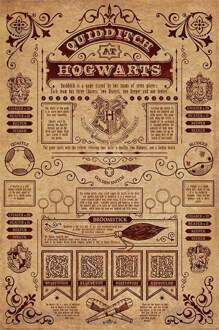 Pyramid Poster Harry Potter Quidditch At Hogwarts 61x91,5cm Multikleur