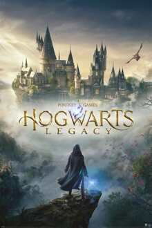 Pyramid Poster Hogwarts Legacy Wizarding World Universe 61x91,5cm Multikleur